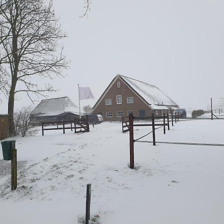 AneveldeLandelijk Gelegen Boerderij Aan De Pothofweg公寓 外观 照片